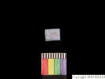 L_V23d1153 J1q375.1 Ux03 dM bd f151.jpg L_V23d1153 J1q375.1 Ux03 dM bd f151